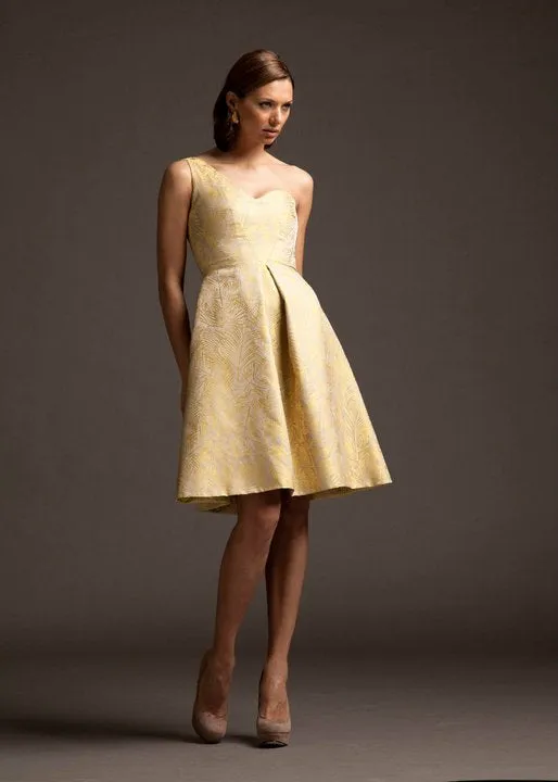 Corseted Asymmetrical Fit & Flare Cocktail